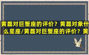 黄磊对巨蟹座的评价？黄磊对象什么星座/黄磊对巨蟹座的评价？黄磊对象什么星座-我的网站