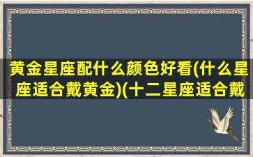 黄金星座配什么颜色好看(什么星座适合戴黄金)(十二星座适合戴什么样的项链)