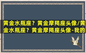 黄金水瓶座？黄金摩羯座头像/黄金水瓶座？黄金摩羯座头像-我的网站(摩羯座黄金圣斗士头像)