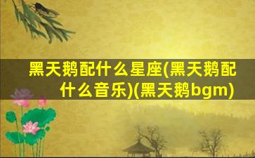 黑天鹅配什么星座(黑天鹅配什么音乐)(黑天鹅bgm)