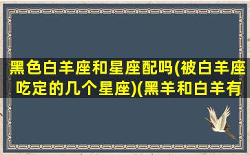 黑色白羊座和星座配吗(被白羊座吃定的几个星座)(黑羊和白羊有什么区别)