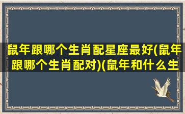 鼠年跟哪个生肖配星座最好(鼠年跟哪个生肖配对)(鼠年和什么生肖最配)