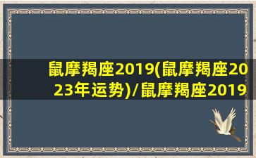 鼠摩羯座2019(鼠摩羯座2023年运势)/鼠摩羯座2019(鼠摩羯座2023年运势)-我的网站