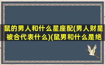 鼠的男人和什么星座配(男人财星被合代表什么)(鼠男和什么是绝配)