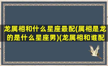 龙属相和什么星座最配(属相是龙的是什么星座男)(龙属相和谁配)