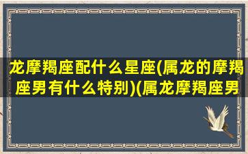 龙摩羯座配什么星座(属龙的摩羯座男有什么特别)(属龙摩羯座男明星)