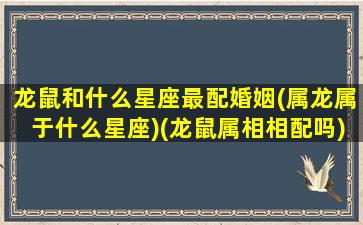 龙鼠和什么星座最配婚姻(属龙属于什么星座)(龙鼠属相相配吗)